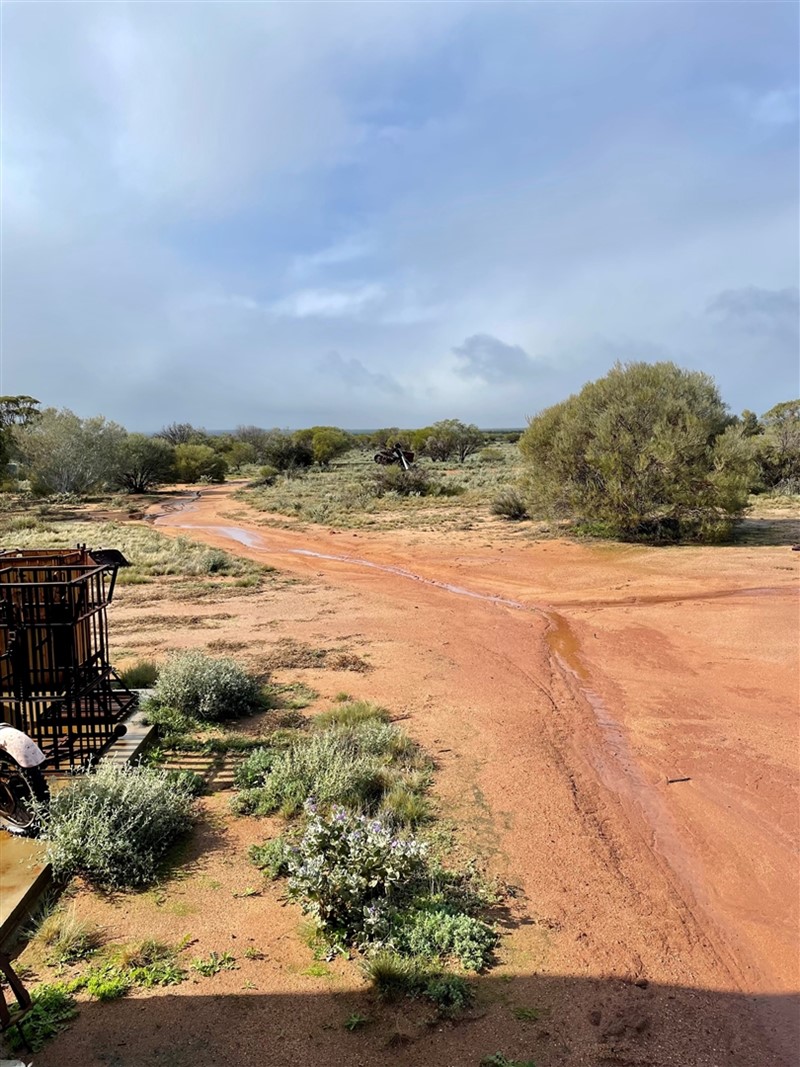 Image Gallery - Charles Darwin Reserve